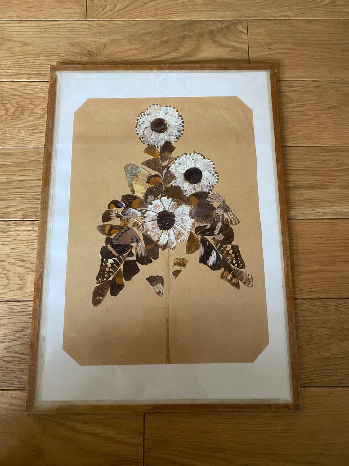 Butterfly wings frame