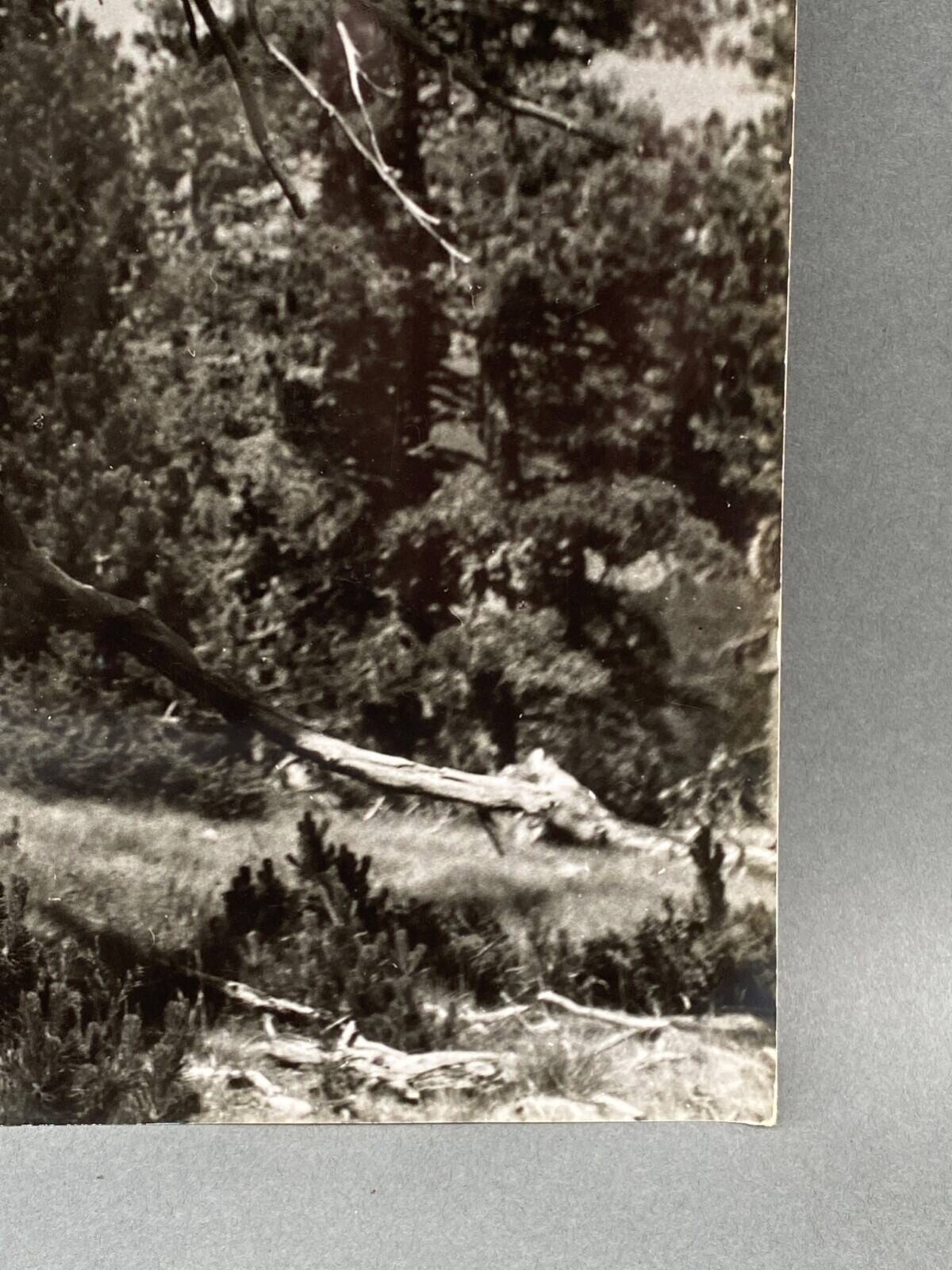 Photographie argentique Bernard Darot Les Vaincus XXe AFIAP