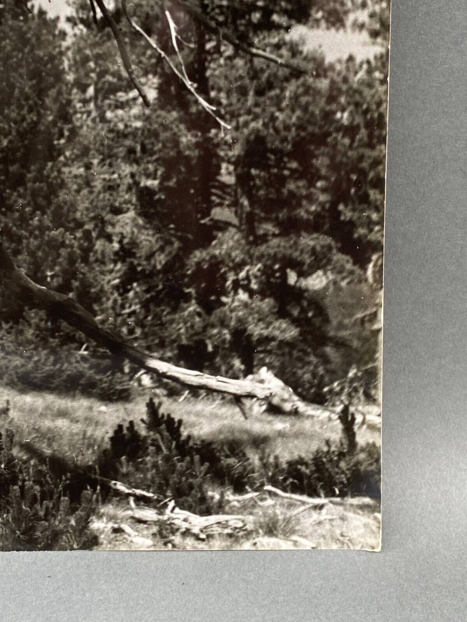 Photographie argentique Bernard Darot Les Vaincus XXe AFIAP