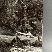 Photographie argentique Bernard Darot Les Vaincus XXe AFIAP