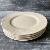 Flat Plates Jars Footprint Gum