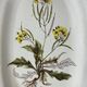 Earthenware dish with botanical decoration "Diplotaxis muralis", Haute Provence