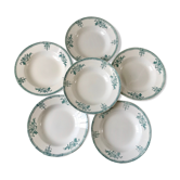 Lot de 6 assiettes creuses terre de fer saint-amand xixème