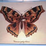 90s fabric butterfly suspension