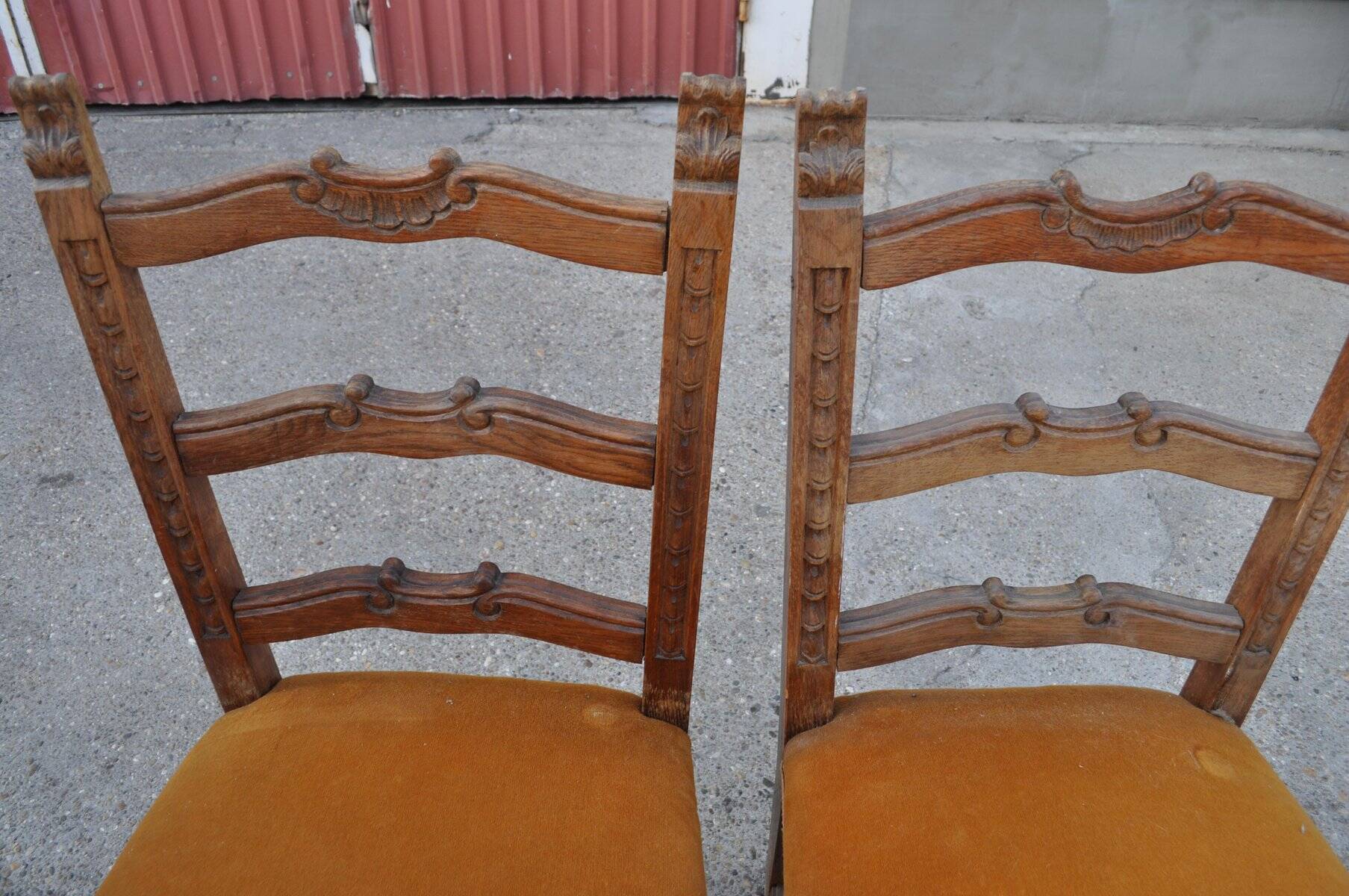 Pair of mid-century chairs from the 1950s in brown oak and straw yellow velvet — set of 2