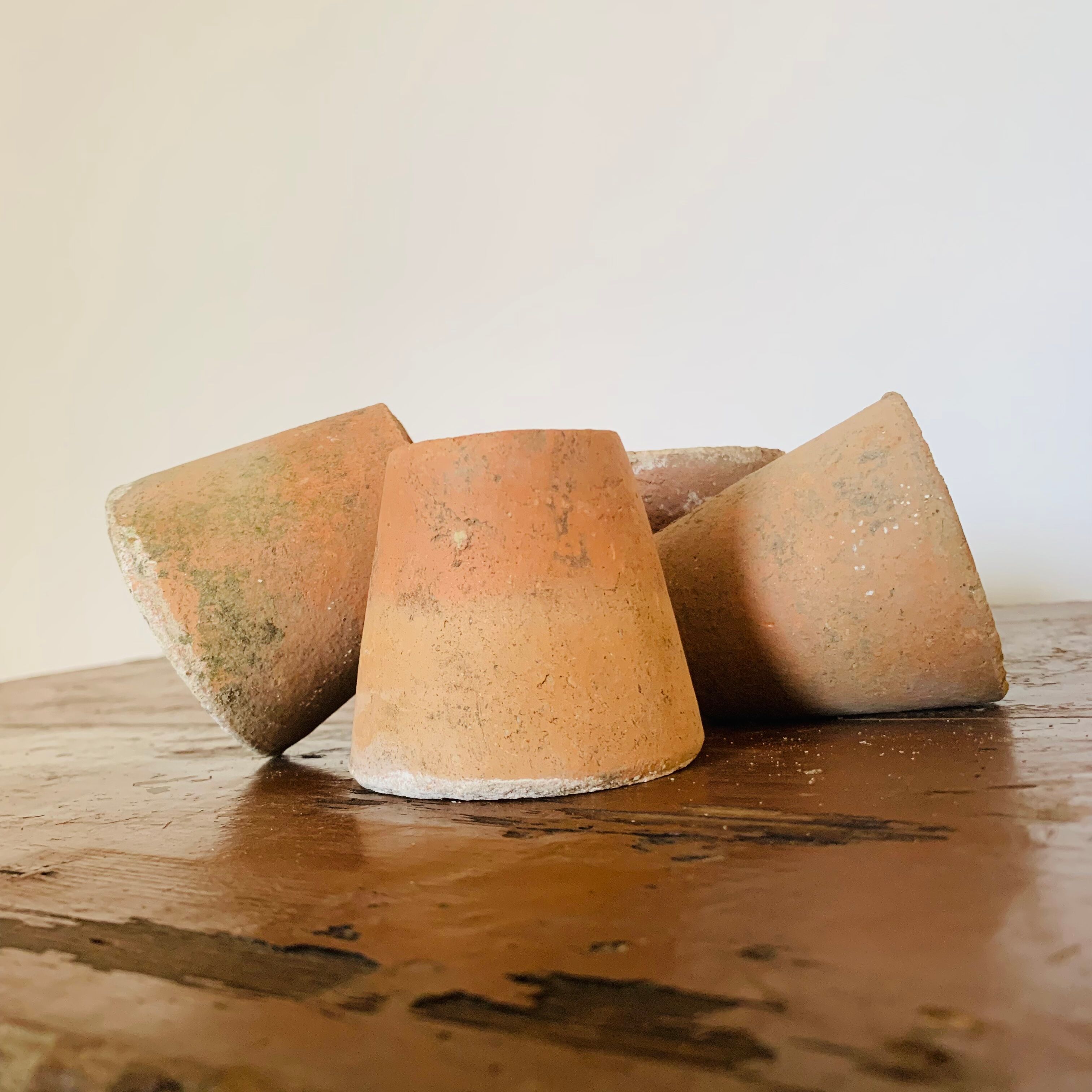 Lot of 5 terracotta pots circa 1930 graineterie