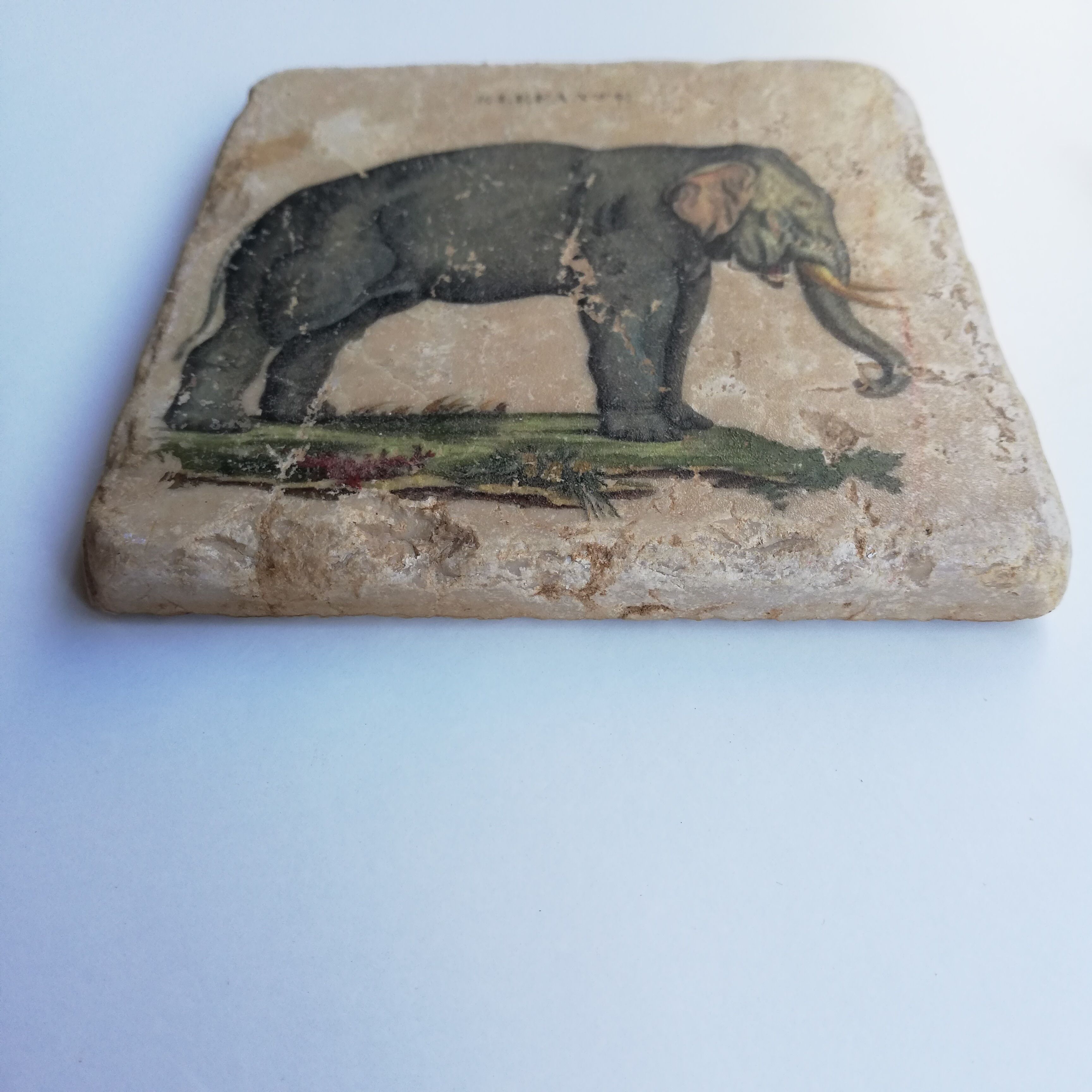 Marble coasters, elephant décor