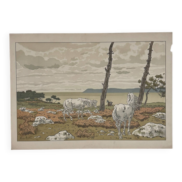 Lithographie par Henri Rivière Les Aspects de la Nature - La Baie