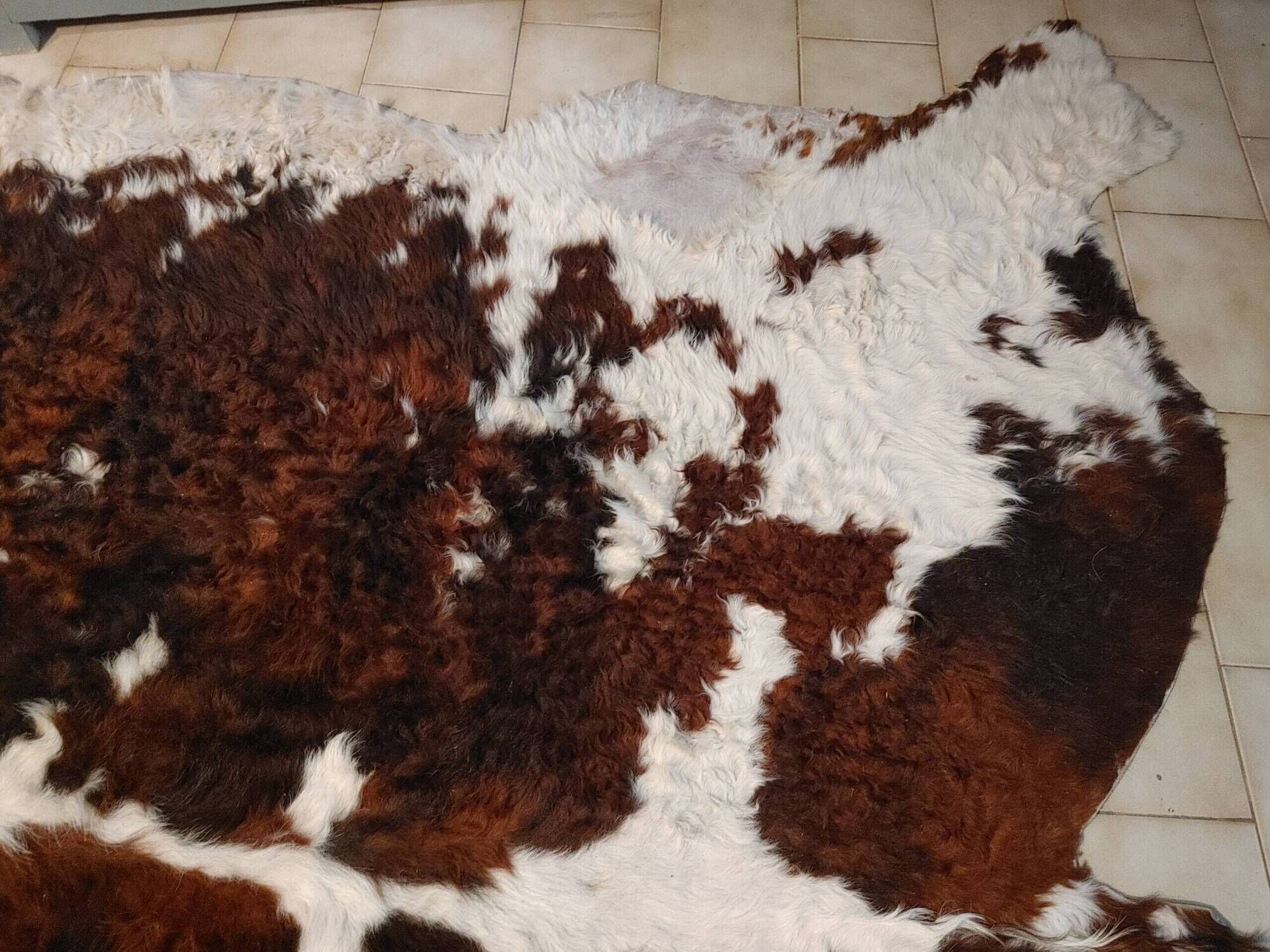 Rug, Large cowhide with fairly long hair - Vintage 70's Tannerie Barjols
