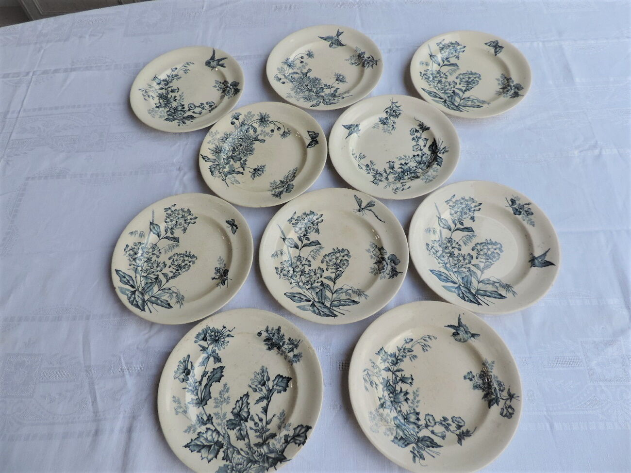 Lot de dix assiettes en Longwy , décor Botanique