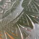 Vintage glass pendant light - tableware collection -