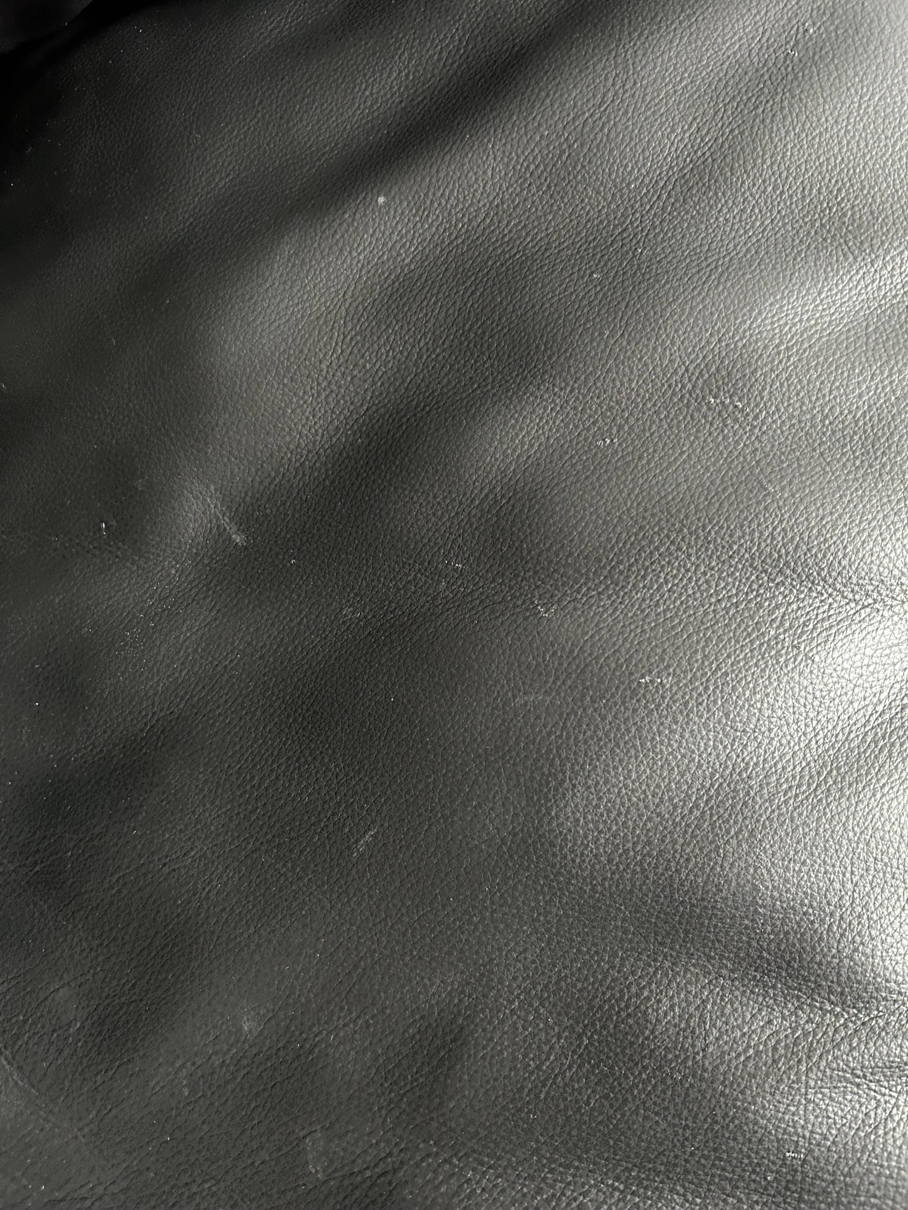 Canape cuir Roche bobois