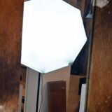 Cowhide mirror