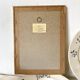 Framed bird engraving, botanical plate sternus vulgaris