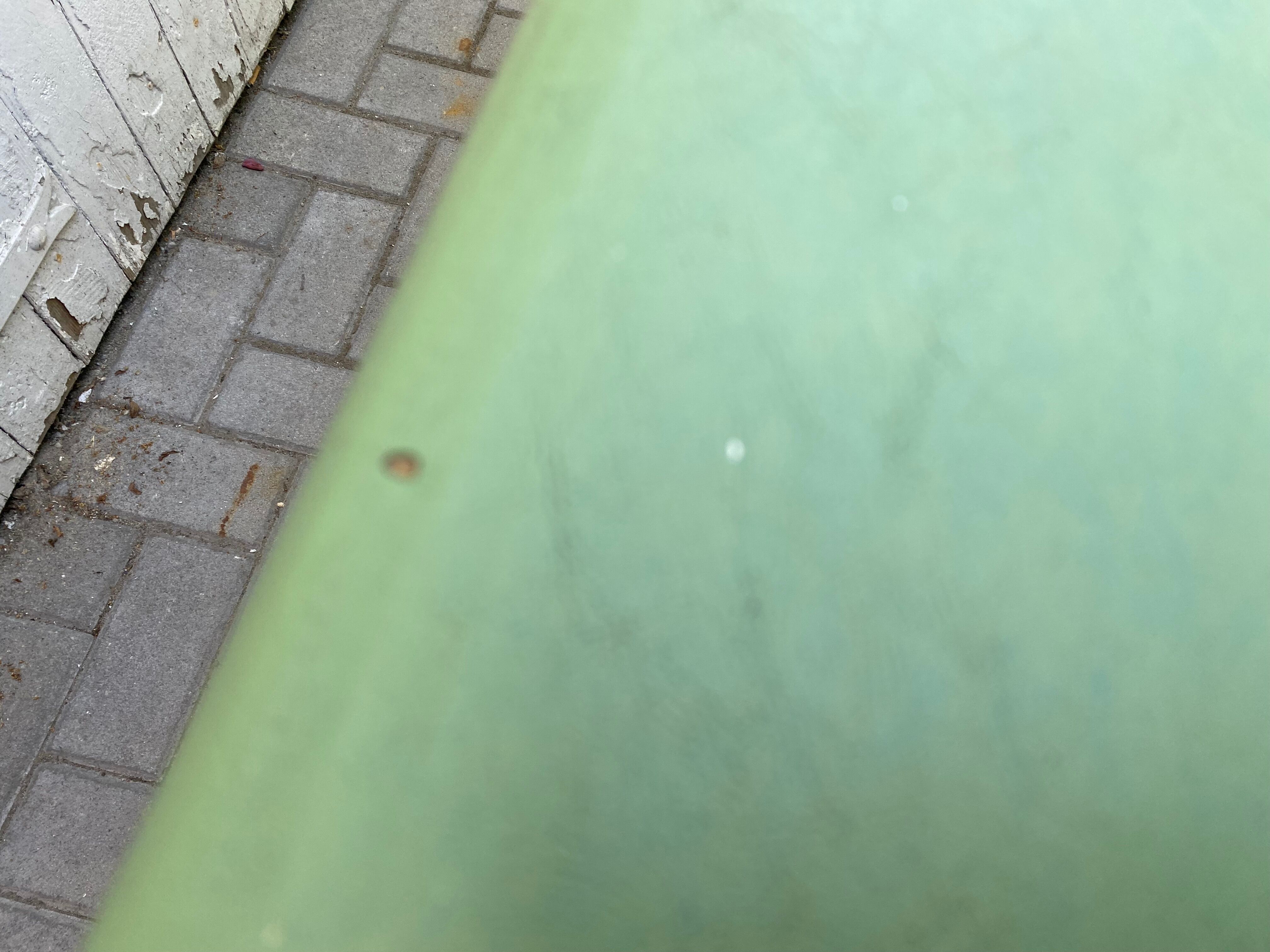 Italian vintage doro burau 1950