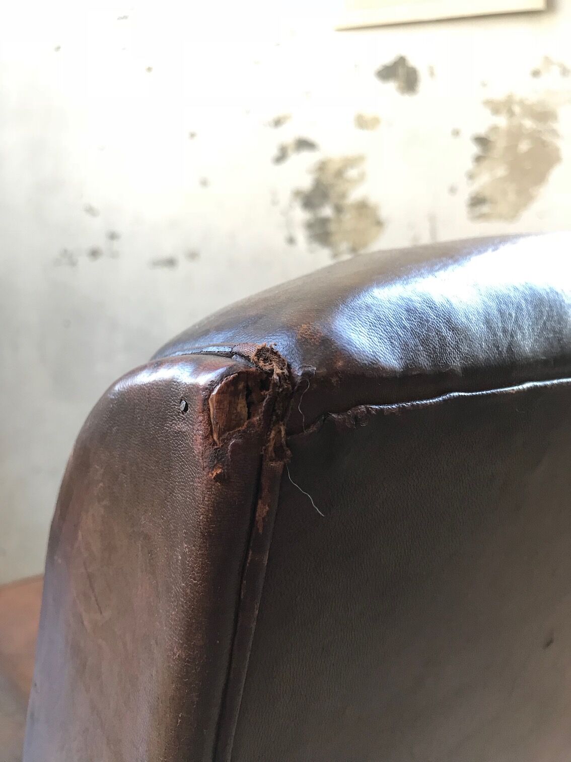 Leather club Armchair