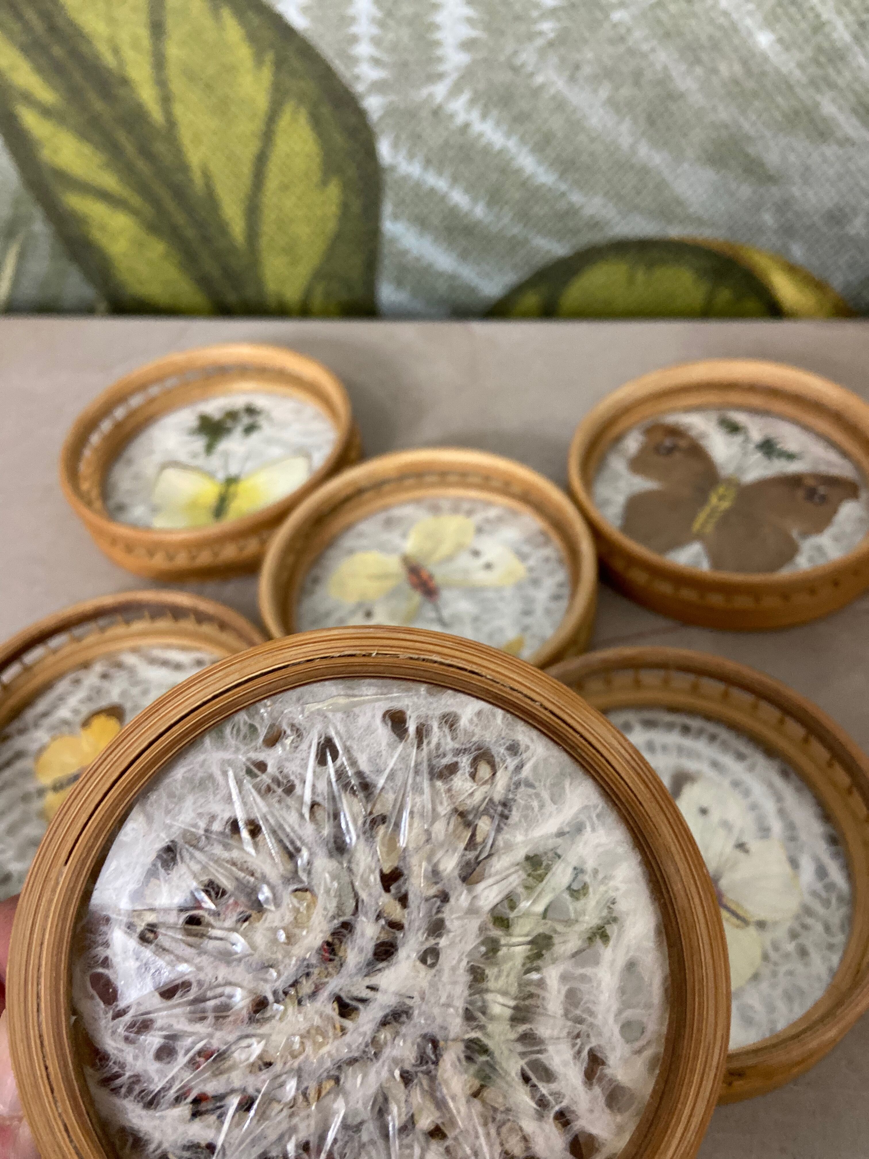 Butterfly coasters