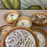 Dessous-de-verre papillons