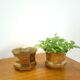 Brass set flower pots, pots