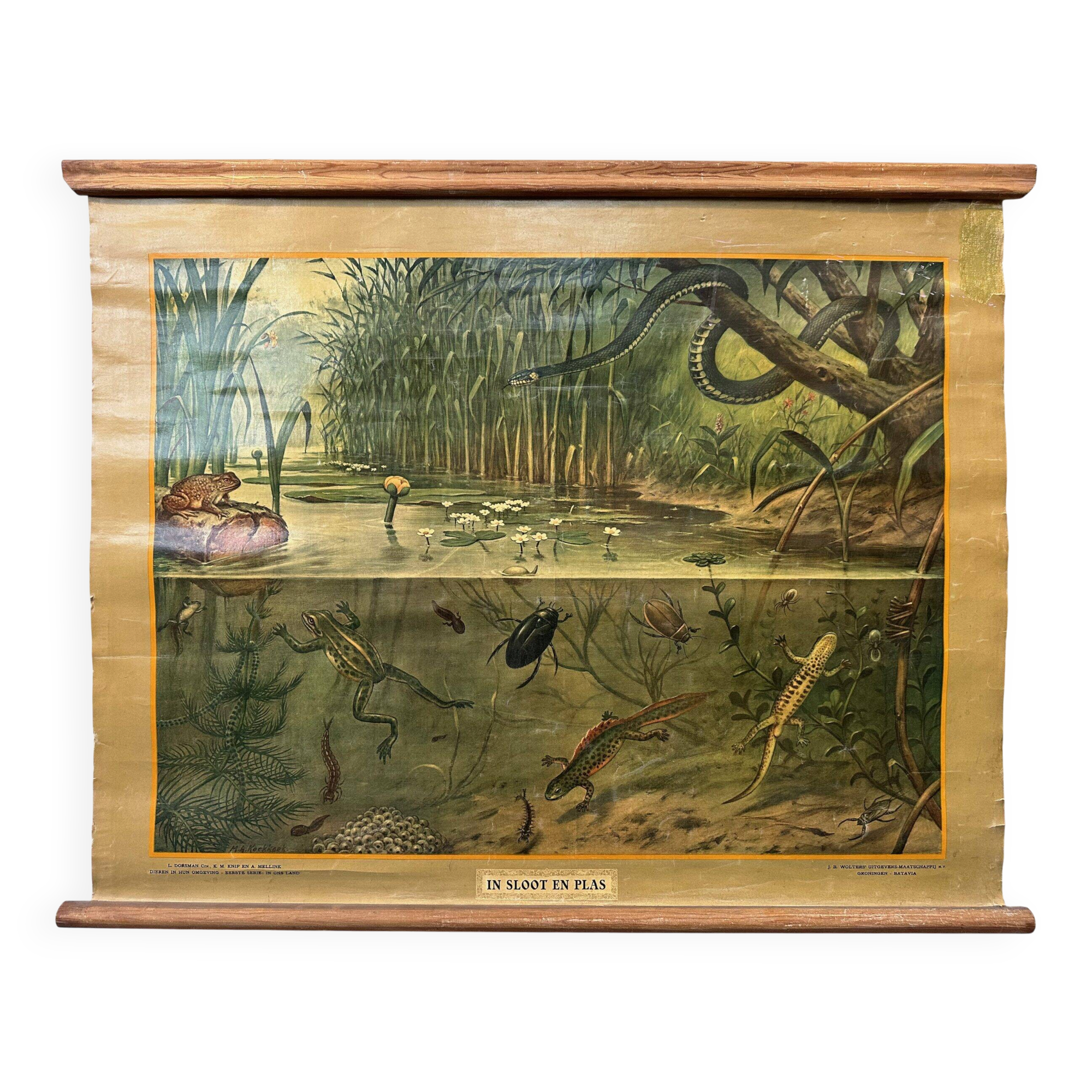 Vintage linen school chart – In ditch and pond
