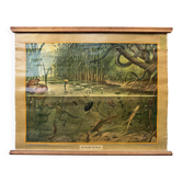Vintage linen school chart – In ditch and pond