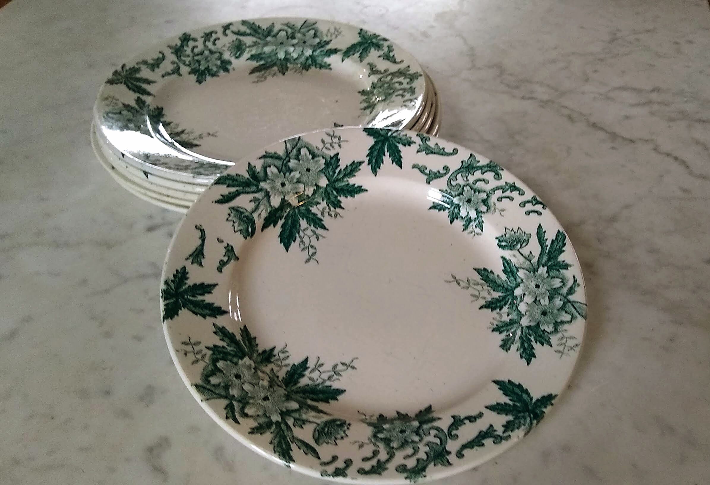 6 flat plates Anémone from St Amand in gray green color