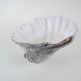 Decorative Tridacna seashell, boho style, 1980s