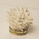 Shell Chama Lazarus.