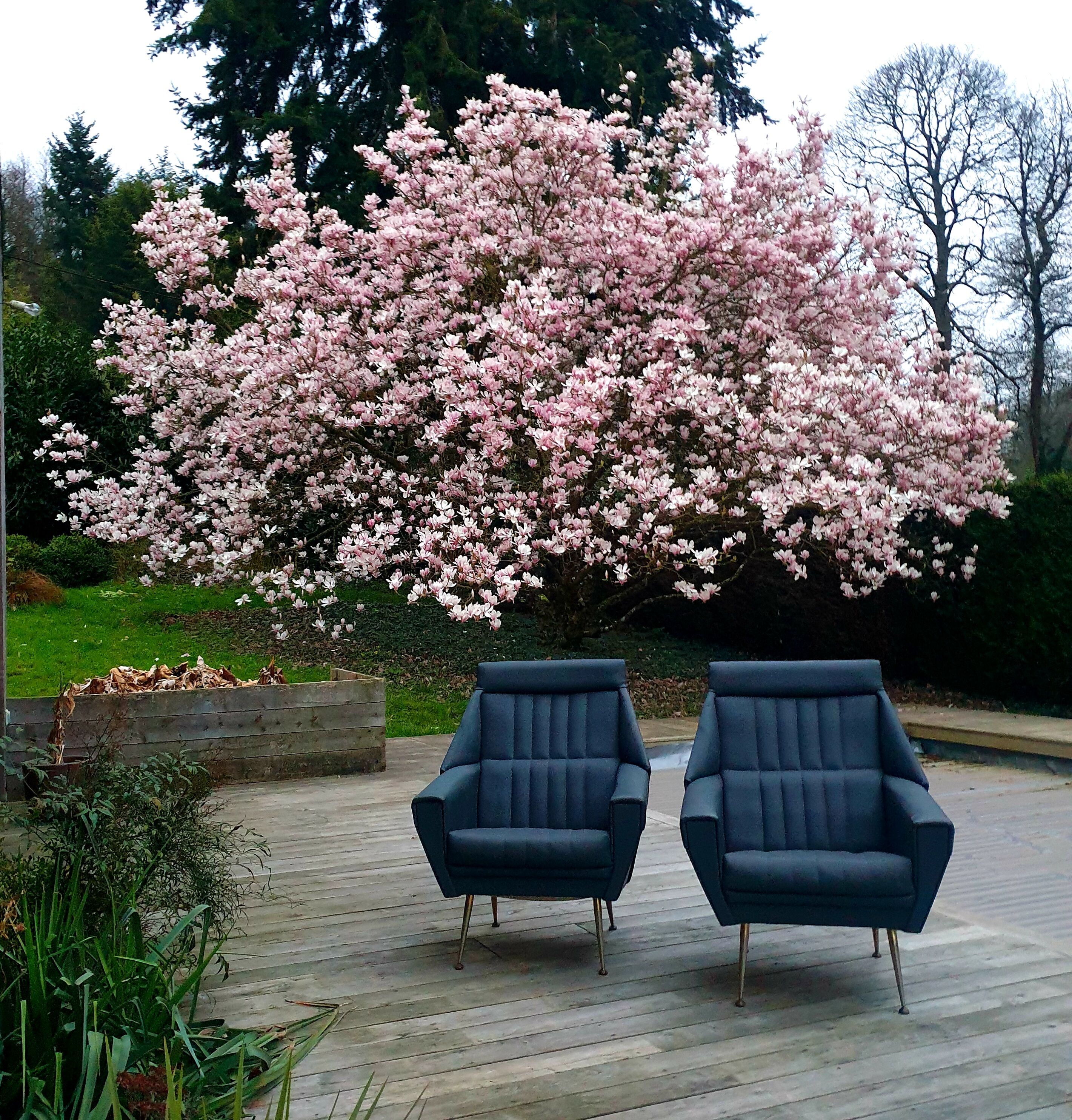 Pair of vintage modernist armchairs 50s