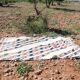Berber Moroccan rug 200cm x 300cm