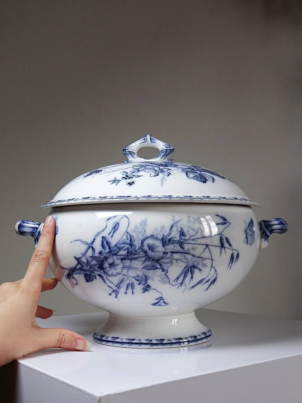 Fine earthenware soup tureen Sarreguemines model Carmen, blue decoration 19th-20th century.