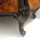 Ebonized Beech and Walnut-Root Cabinet with a Glass Top, Brianza, Italy