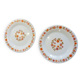 Duo assiettes fleuries arcopal