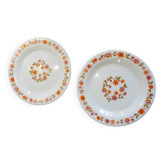 Duo floral plates arcopal