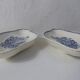 2 butterfly raviers Iron Earth