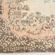 6x10 Shades Of Brown Beige Classic Vintage Rug, 174x303Cm SK 5112