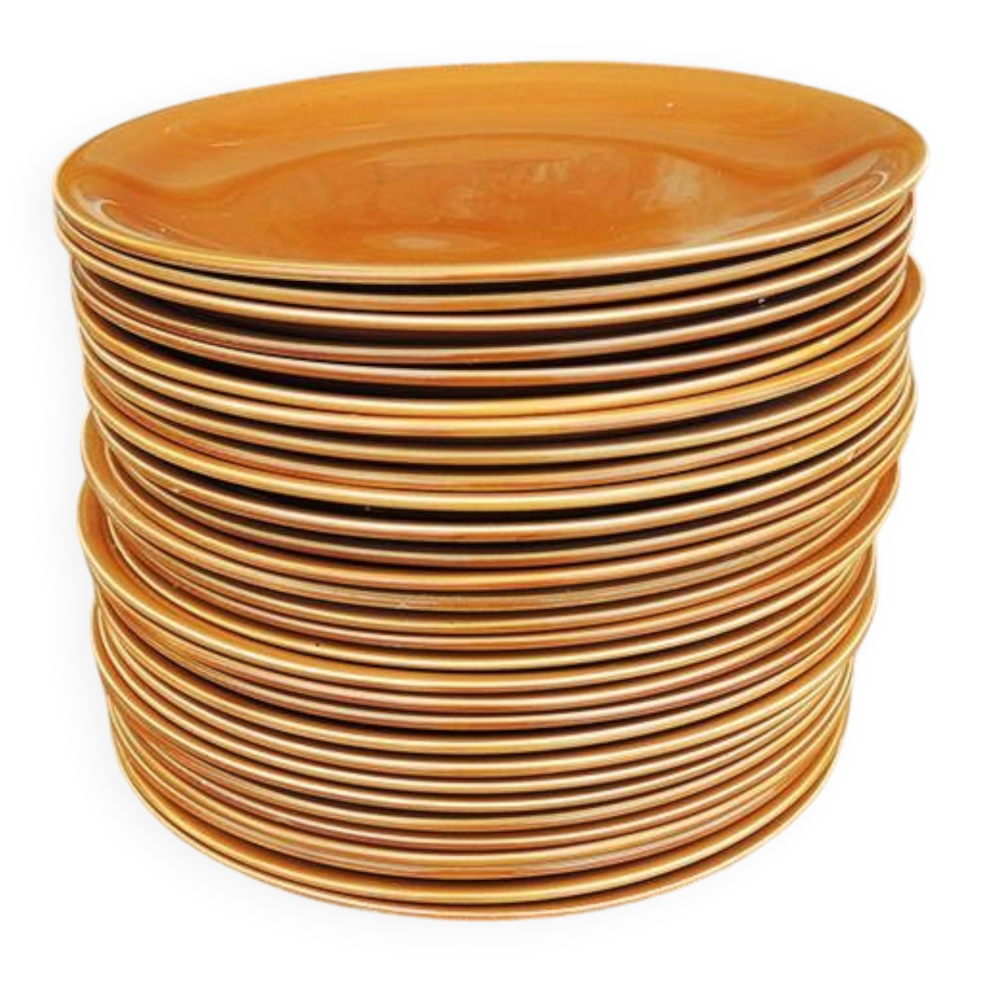 Antique earthenware dinner service from Salins (36 pcs)