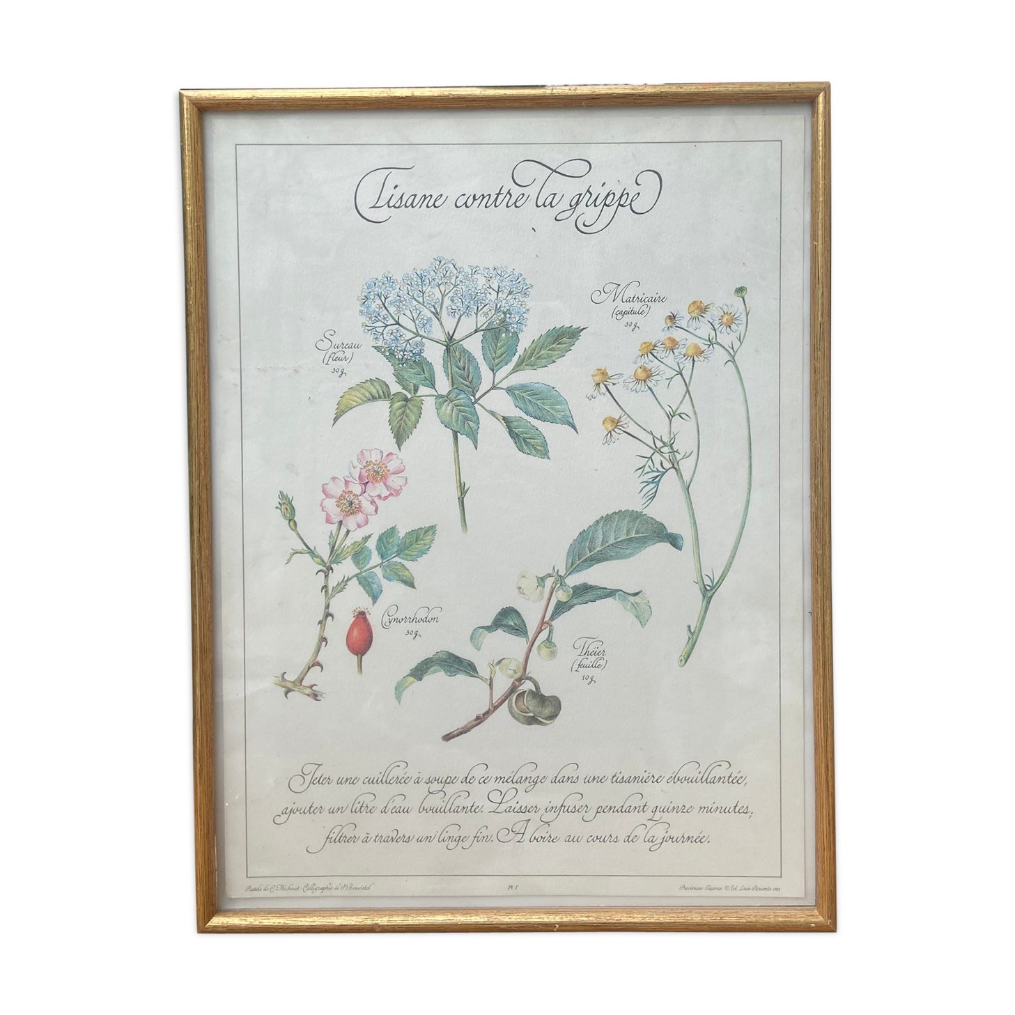 Tisane botanical plank against the flu