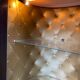 Vintage Prinz illuminated bar cabinet from the 1960s