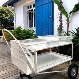 Mathieu Matégot rolling table