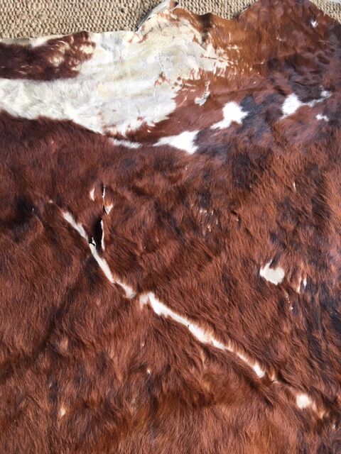 Cow cow carpet 220x225cm