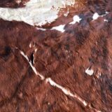 Cow cow carpet 220x225cm