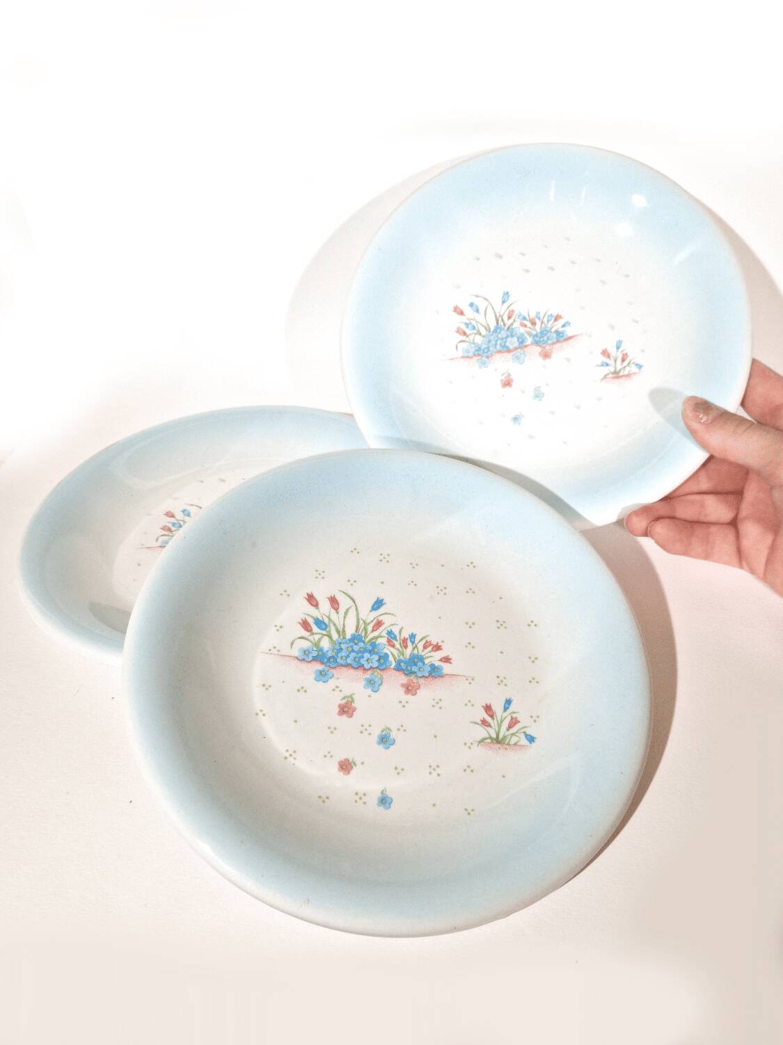 3 assiettes Primula décor Myosotis