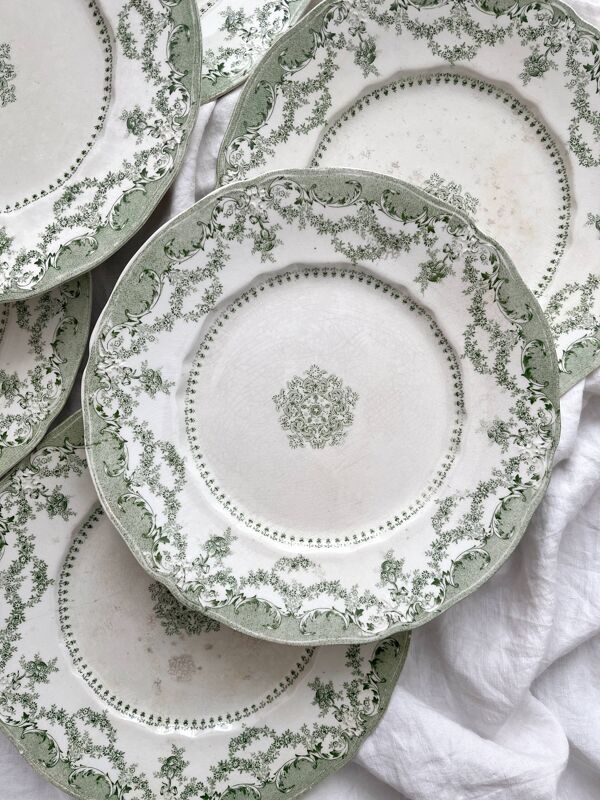 6 assiettes plates en terre de fer anglaise ''Como'' Ridgway Staffordshire