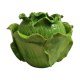 Green green-sized jar covered in cabbage-shaped dabbling: H-25cm- D-28cm-