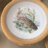 Full table service Limoges from the 60s