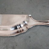Pick-crumbs silver metal shovel