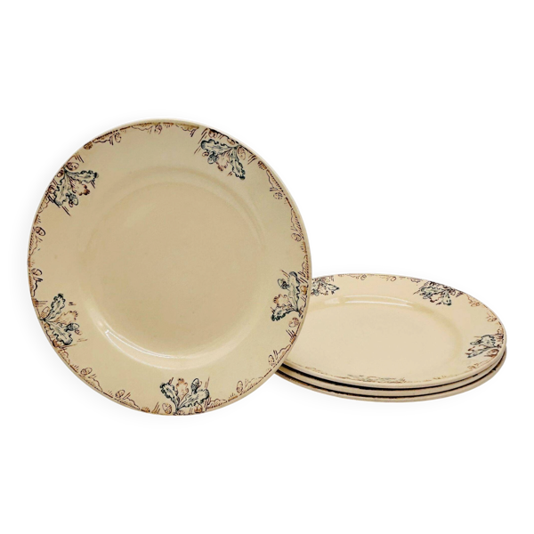 4 assiettes plates, chêne et gland.
