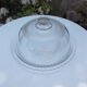 Dish with its Arcoroc plate.