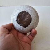 Ceramic zoomorphic ashtray Fish in the spirit of The Argonauts Bonnet